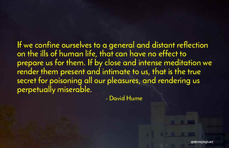 Hormigas Rojas Quotes By David Hume Hormigas Rojas Quotes By David Hume