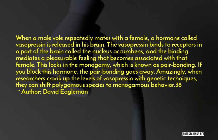 Hormone Quotes By David Eagleman