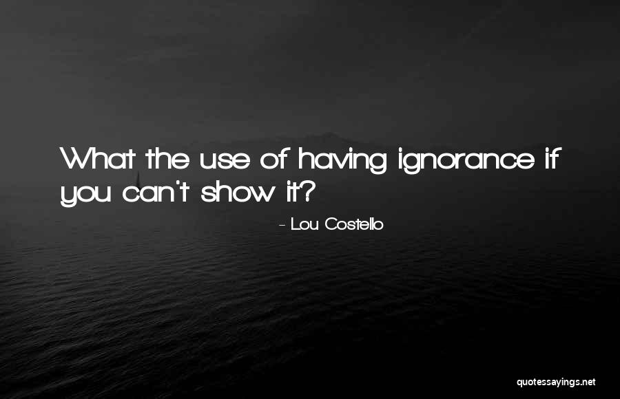 Hormoz Kianfar Quotes By Lou Costello Hormoz Kianfar Quotes By Lou Costello