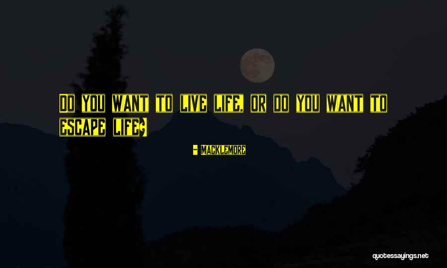 Hormoz Zahiri Quotes By Macklemore Hormoz Zahiri Quotes By Macklemore