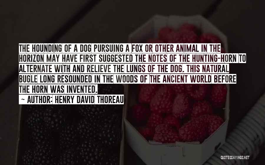 Horn Dog Quotes By Henry David Thoreau
