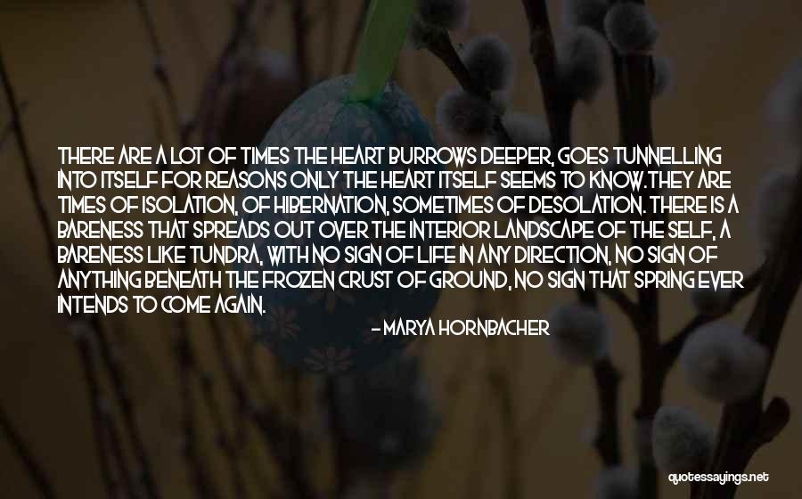 Hornbacher Quotes By Marya Hornbacher