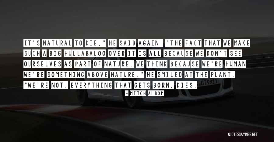 Hornbein Quotes By Mitch Albom Hornbein Quotes By Mitch Albom