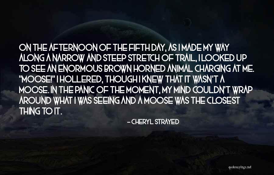 Horned Quotes By Cheryl Strayed Horned Quotes By Cheryl Strayed