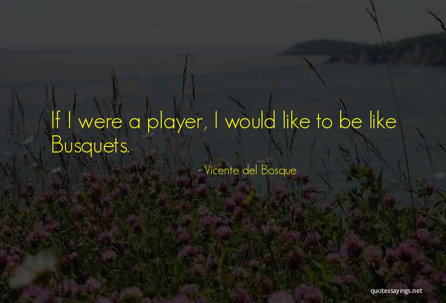 Hornemanns Arctic Redpoll Quotes By Vicente Del Bosque Hornemanns Arctic Redpoll Quotes By Vicente Del Bosque