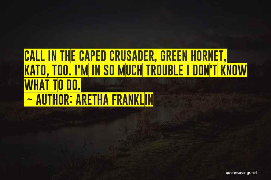 Hornet Quotes By Aretha Franklin