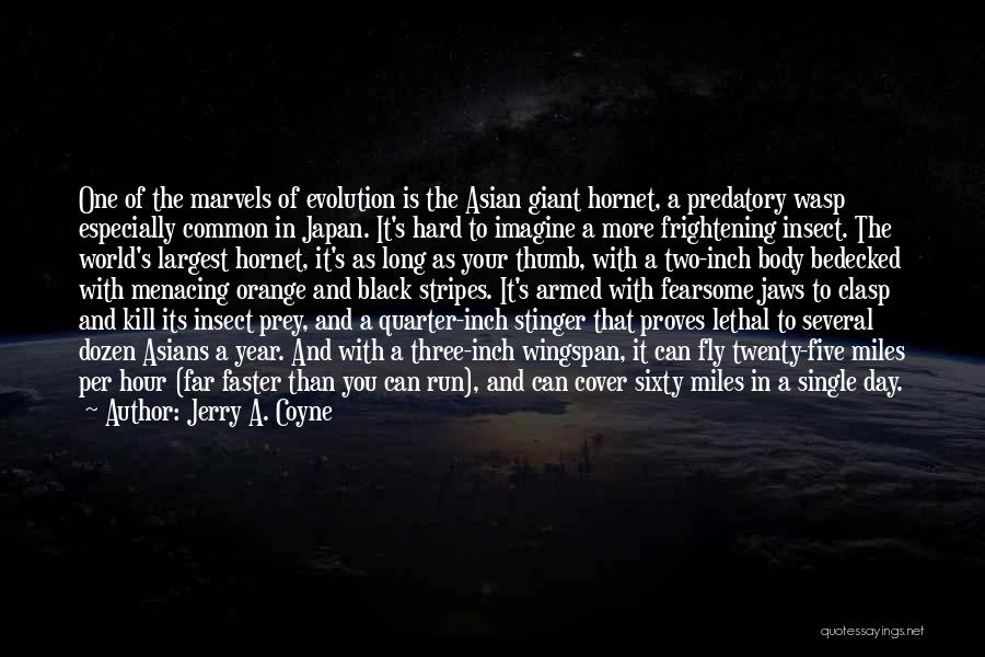 Hornet Quotes By Jerry A. Coyne