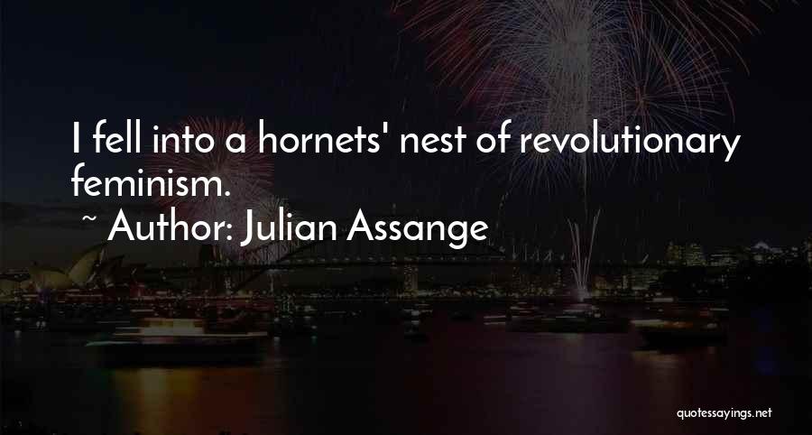 Hornets Nest Quotes By Julian Assange