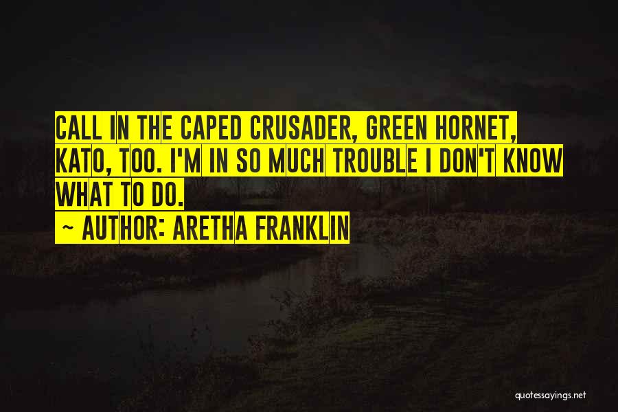 Hornets Quotes By Aretha Franklin
