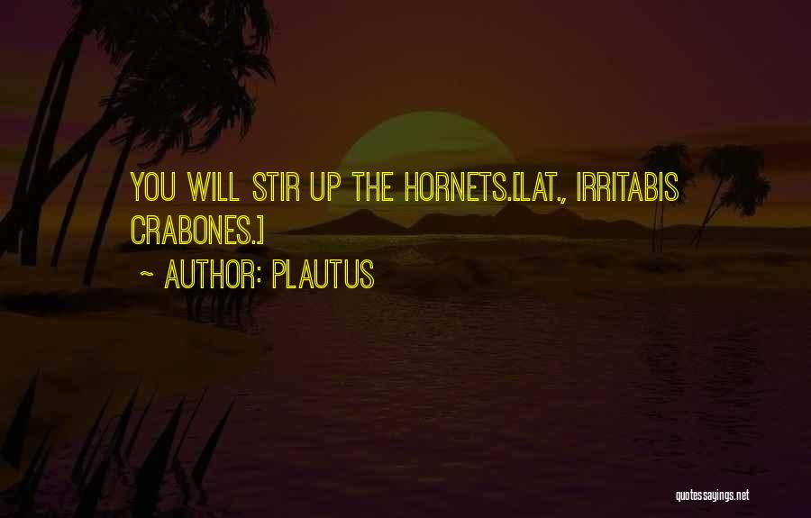 Hornets Quotes By Plautus