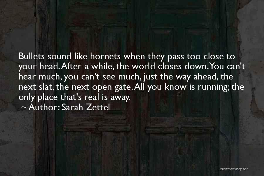 Hornets Quotes By Sarah Zettel