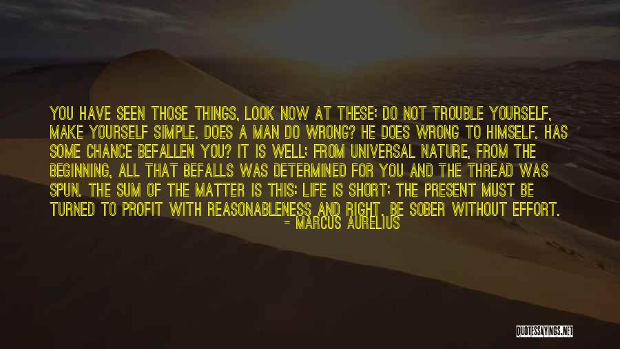 Hornik Engineered Quotes By Marcus Aurelius Hornik Engineered Quotes By Marcus Aurelius