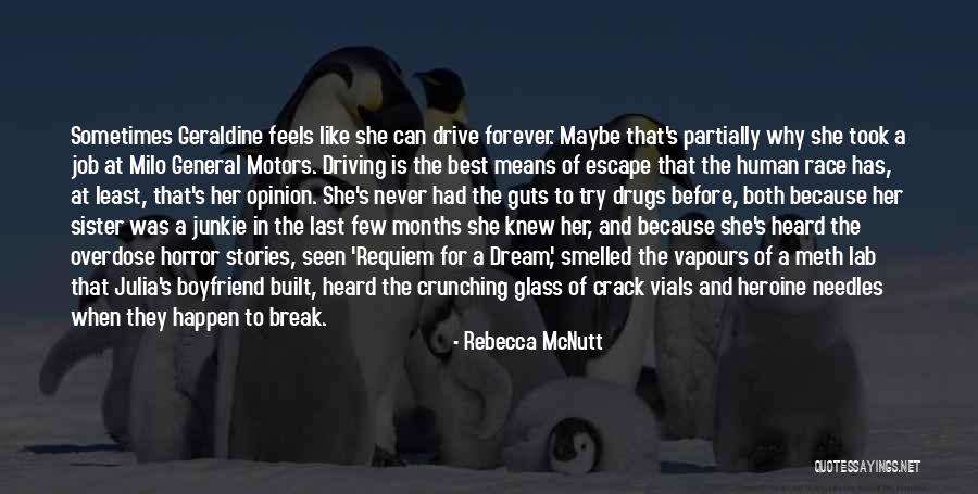 Horntail Guide Quotes By Rebecca McNutt Horntail Guide Quotes By Rebecca McNutt
