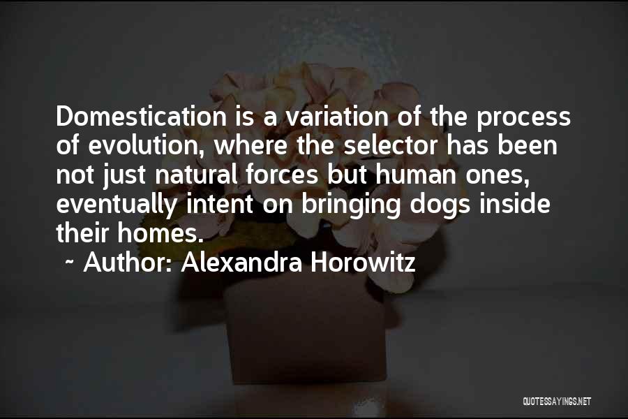 Horowitz Quotes By Alexandra Horowitz