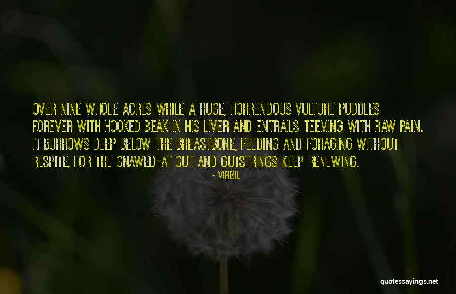 Horrendous Quotes By Virgil Horrendous Quotes By Virgil
