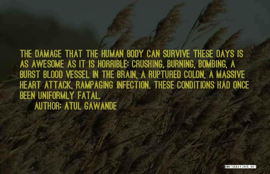 Horrible Days Quotes By Atul Gawande