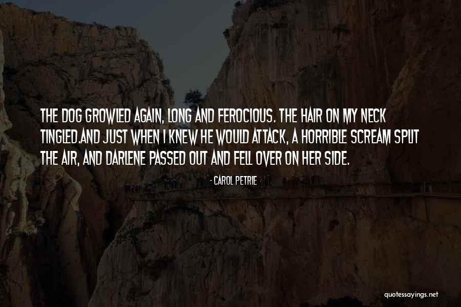 Horrible Funny Quotes By Carol Petrie Horrible Funny Quotes By Carol Petrie