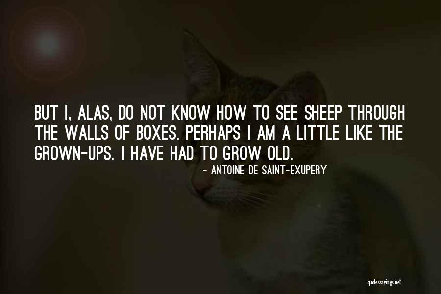 Horrible Inlaws Quotes By Antoine De Saint-Exupery Horrible Inlaws Quotes By Antoine De Saint-Exupery