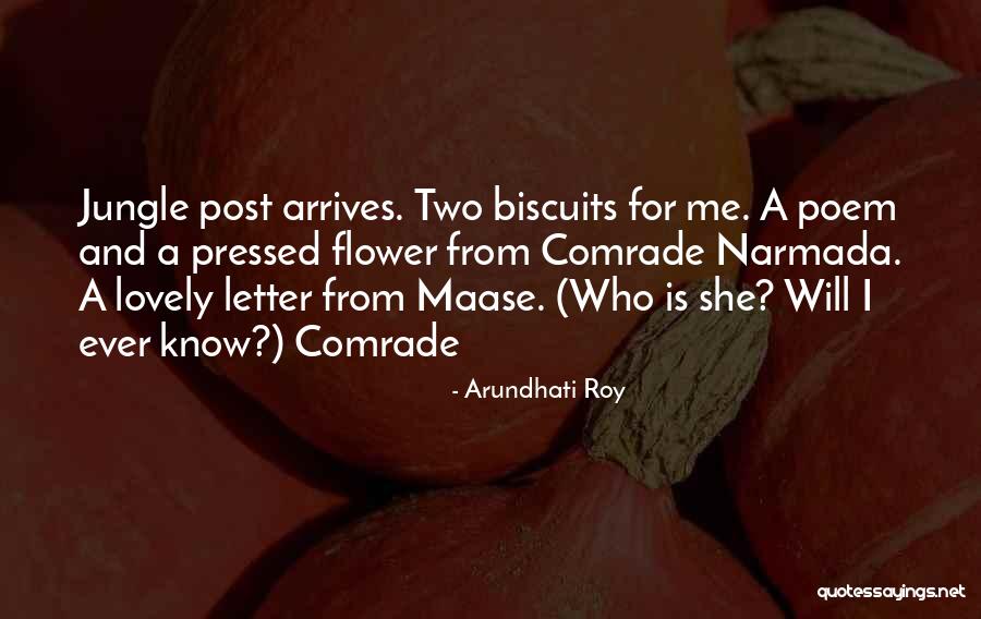 Horridge Window Quotes By Arundhati Roy Horridge Window Quotes By Arundhati Roy