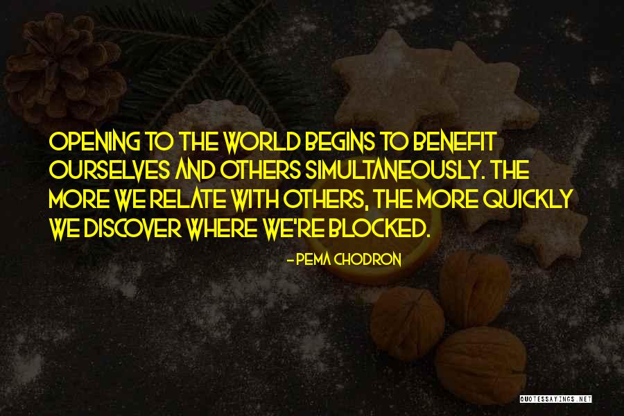 Horridge Window Quotes By Pema Chodron Horridge Window Quotes By Pema Chodron