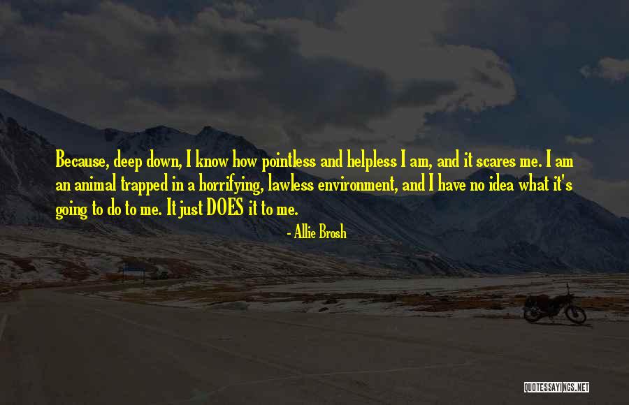 Horrifying Quotes By Allie Brosh Horrifying Quotes By Allie Brosh