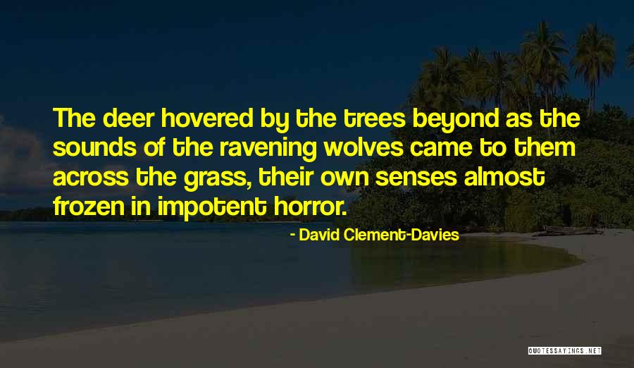 Horror Fantasy Quotes By David Clement-Davies Horror Fantasy Quotes By David Clement-Davies