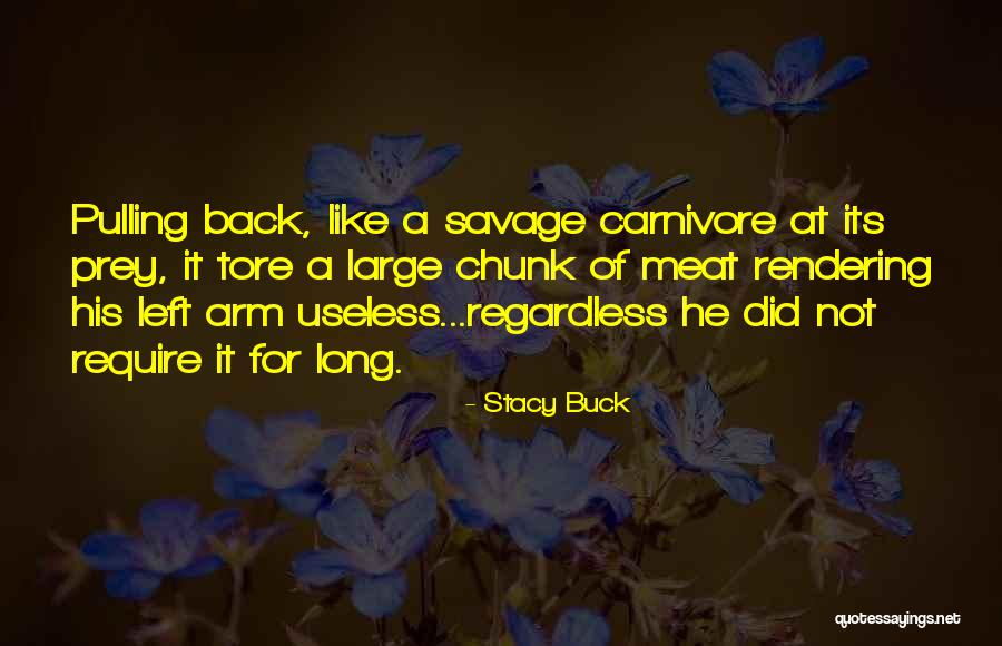 Horror For Quotes By Stacy Buck