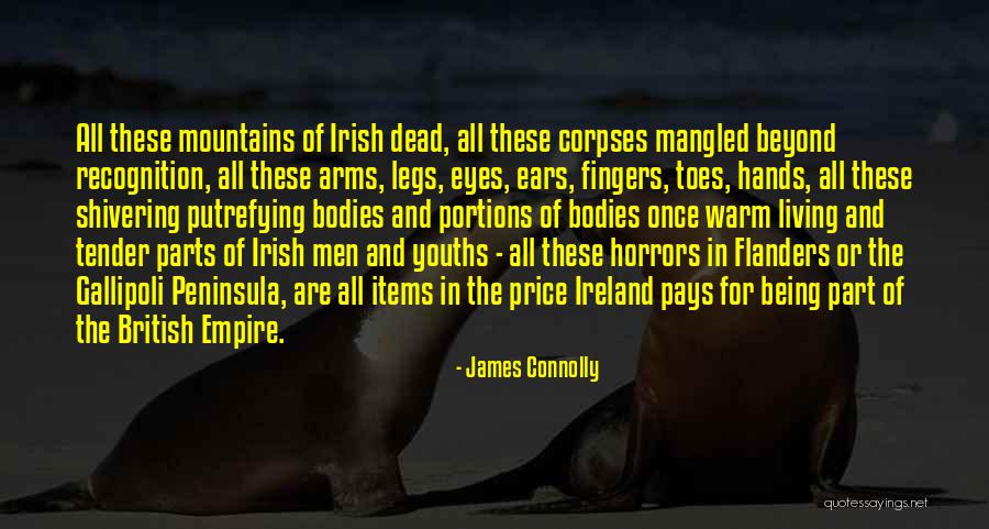 Horrors Quotes By James Connolly