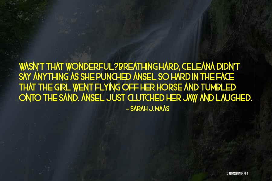 Horse And His Girl Quotes By Sarah J. Maas