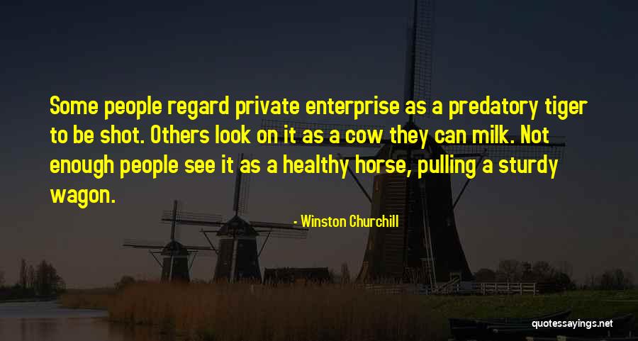 Horse And Wagon Quotes By Winston Churchill