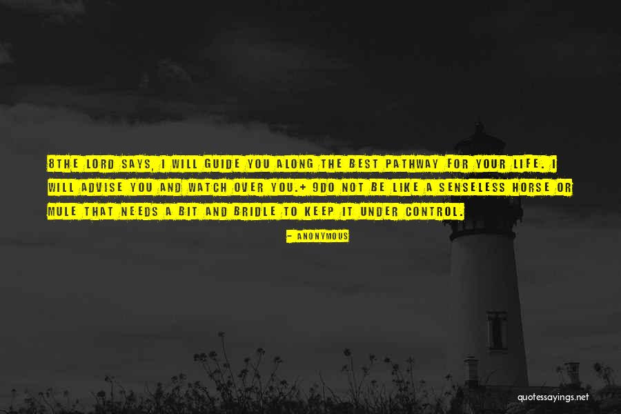 Horse Bit Quotes By Anonymous Horse Bit Quotes By Anonymous