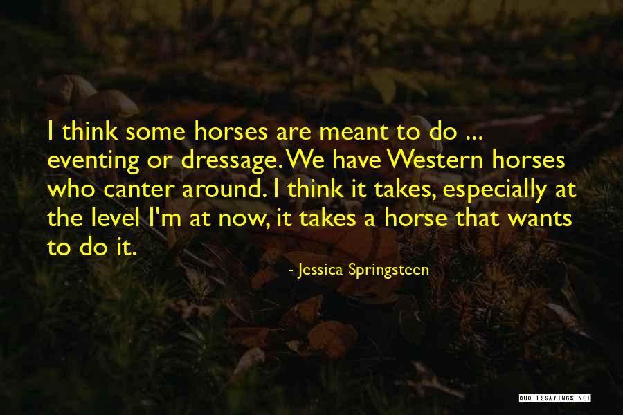 Horse Canter Quotes By Jessica Springsteen