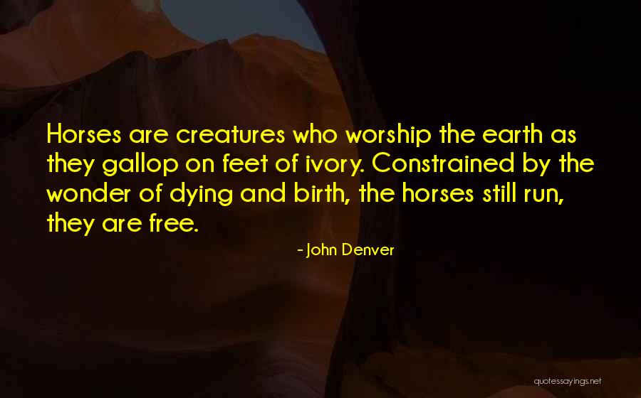 Horse Dying Quotes By John Denver Horse Dying Quotes By John Denver