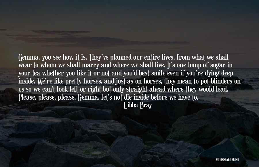 Horse Dying Quotes By Libba Bray Horse Dying Quotes By Libba Bray