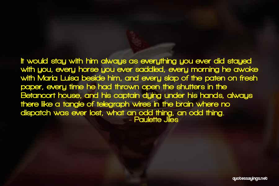 Horse Dying Quotes By Paulette Jiles Horse Dying Quotes By Paulette Jiles
