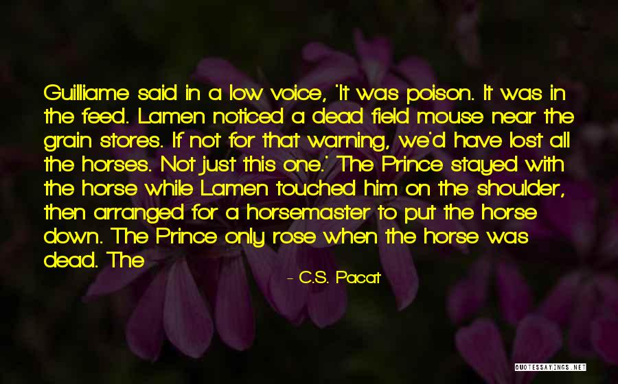 Horse Feed Quotes By C.S. Pacat Horse Feed Quotes By C.S. Pacat
