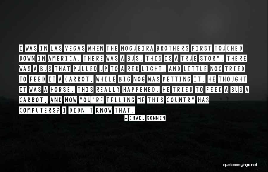 Horse Feed Quotes By Chael Sonnen Horse Feed Quotes By Chael Sonnen
