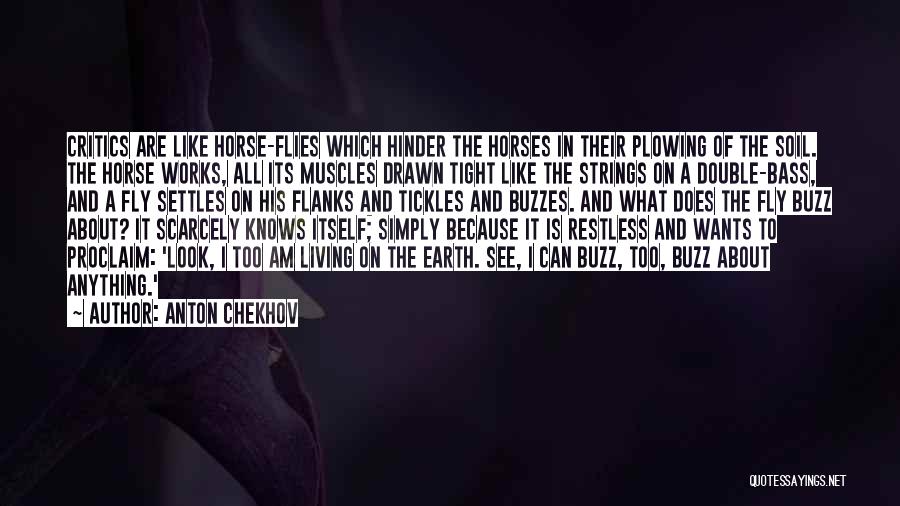 Horse Fly Quotes By Anton Chekhov