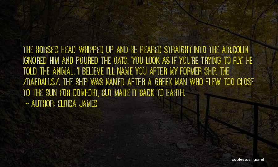 Horse Fly Quotes By Eloisa James