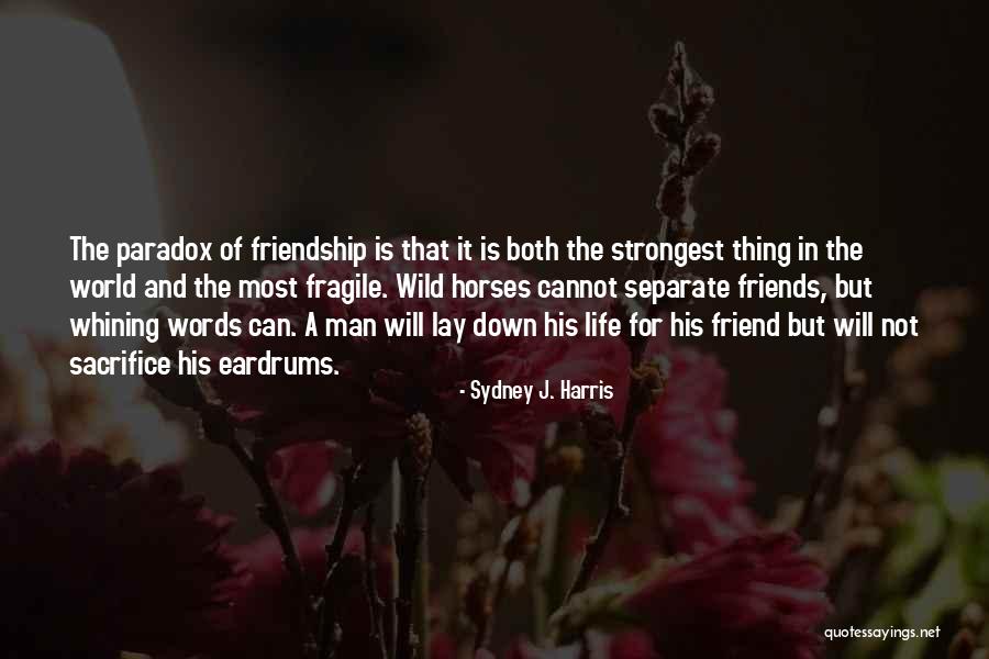 Horse Friendship Quotes By Sydney J. Harris Horse Friendship Quotes By Sydney J. Harris