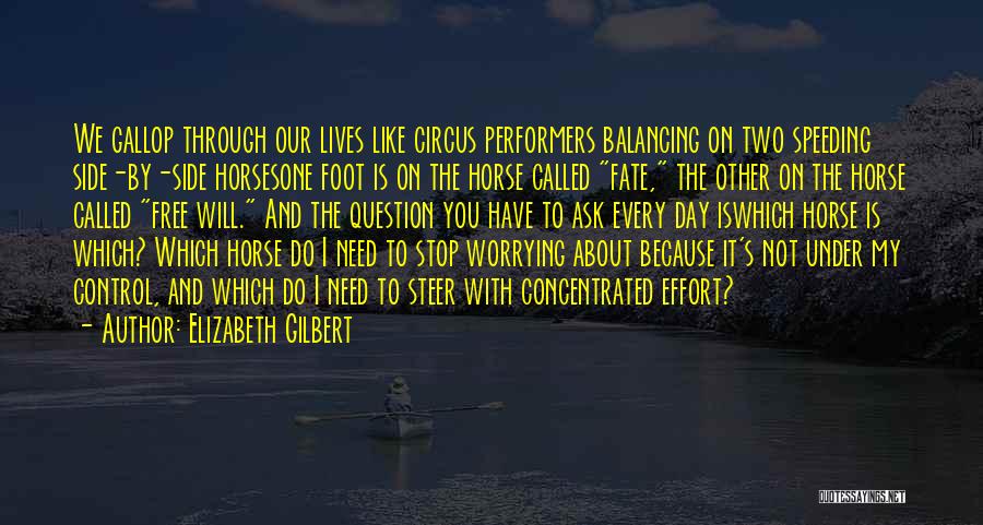 Horse Gallop Quotes By Elizabeth Gilbert
