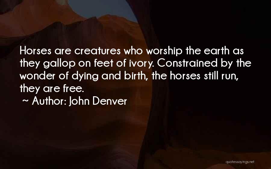 Horse Gallop Quotes By John Denver