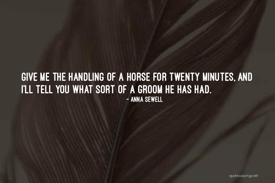 Horse Groom Quotes By Anna Sewell