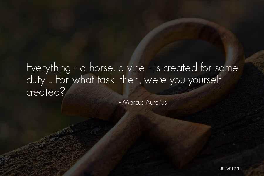 Horse Inspirational Quotes By Marcus Aurelius Horse Inspirational Quotes By Marcus Aurelius