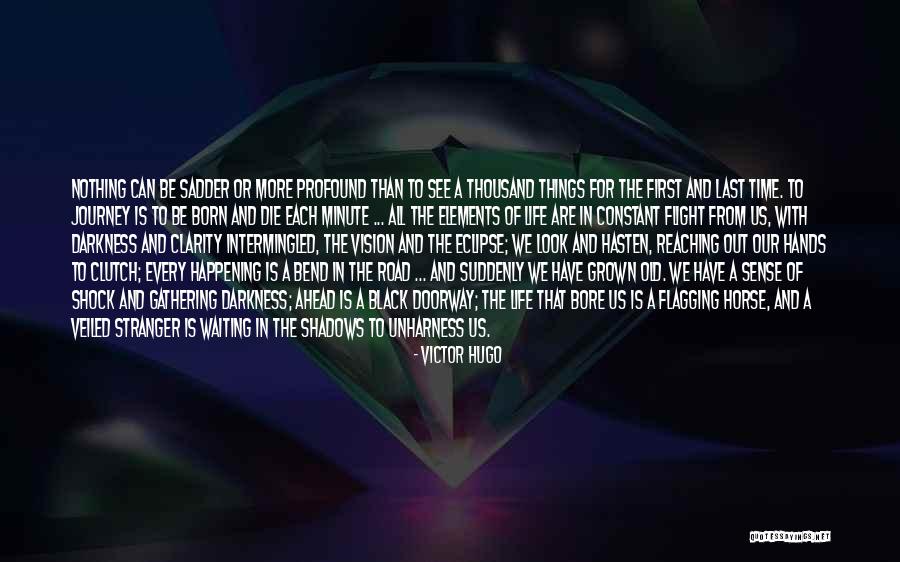 Horse Inspirational Quotes By Victor Hugo Horse Inspirational Quotes By Victor Hugo