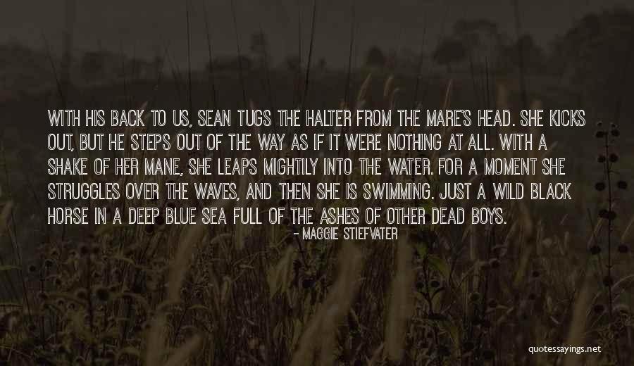 Horse Mare Quotes By Maggie Stiefvater Horse Mare Quotes By Maggie Stiefvater
