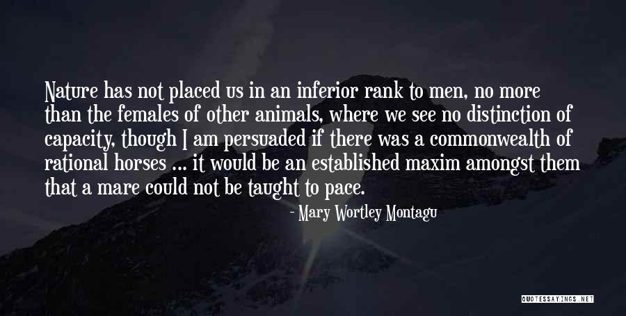 Horse Mare Quotes By Mary Wortley Montagu Horse Mare Quotes By Mary Wortley Montagu