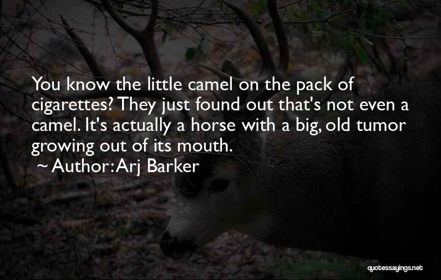 Horse Mouth Quotes By Arj Barker