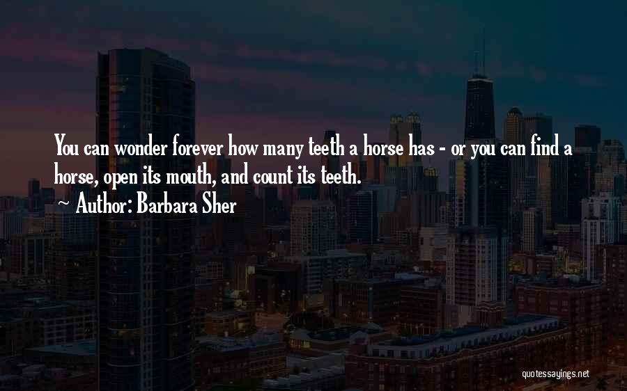 Horse Mouth Quotes By Barbara Sher