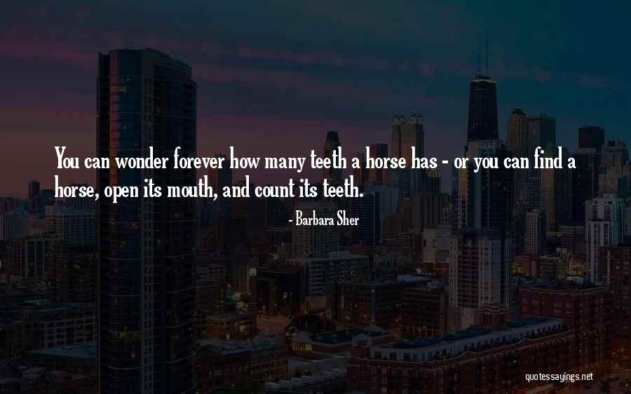 Horse Mouth Quotes By Barbara Sher